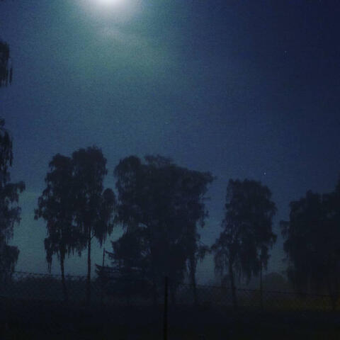 W MOJEJ PAMIĘCI - REMIX OZD