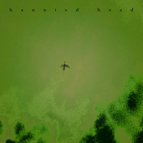 Haunted Head