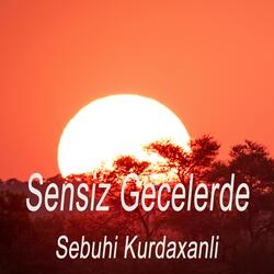 Sensiz Gecelerde