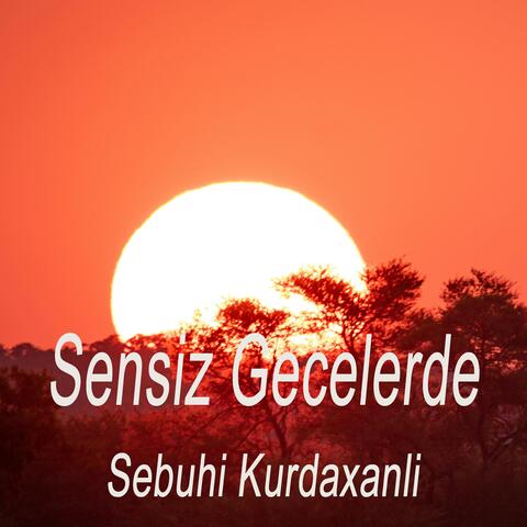 Sensiz Gecelerde