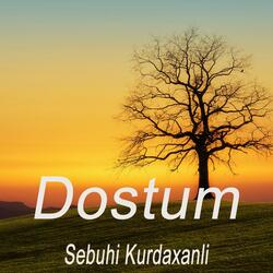 Dostum