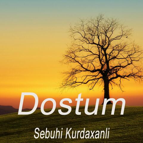 Dostum