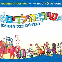 כל הארץ דגלים