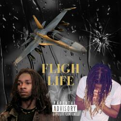 Fly Life