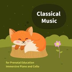 Schubert: Standchen from Swan Song, D. 957, No. 4 (Cello)