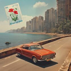 Beirut Baby