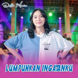 Lumpuhkan Ingatanku