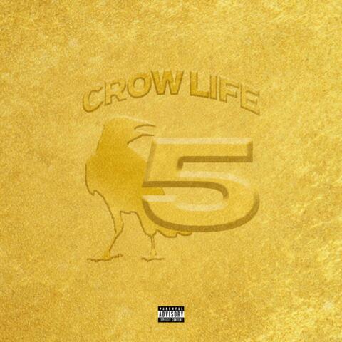CROW LIFE 5 : THE GOLD STANDARD