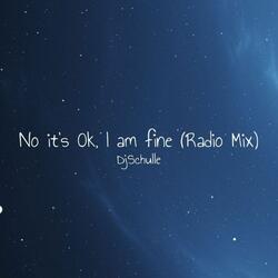 No it's ok, I am fine