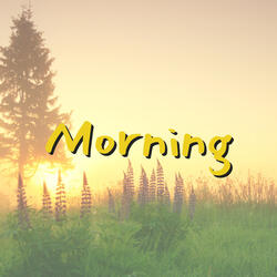 Morning
