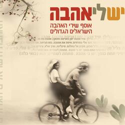 לו הייתי פירט