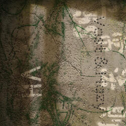 泥地 (Muddy)