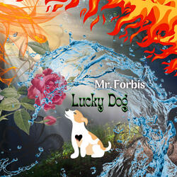 Lucky Dog