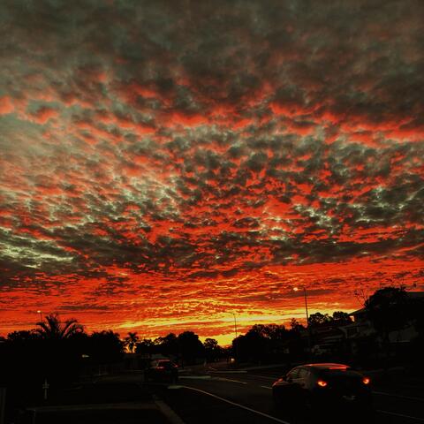 From the Martian Circus