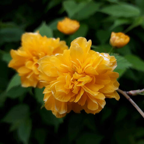 sublime words of love