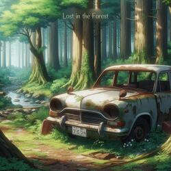 Lost in the Forest