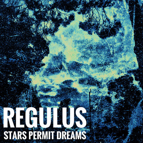 Stars Permit Dreams