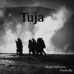 Tuja