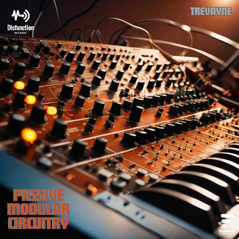 Passive Modular Circuitry