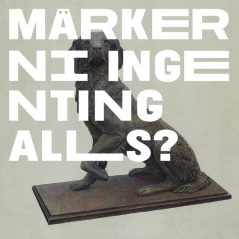 Märker ni ingenting alls?
