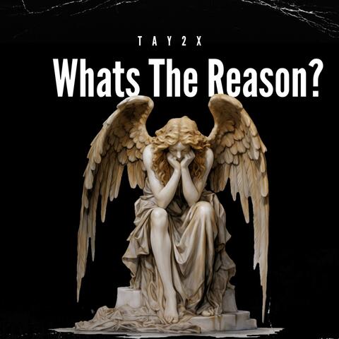 Whats The Reason?