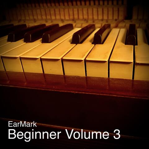 Beginner Volume 3