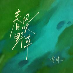 春风吹野草（伴奏）