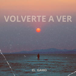 Volverte a Ver