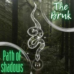 Path of shadows