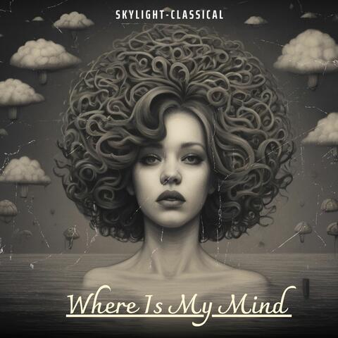 Where Is My Mind