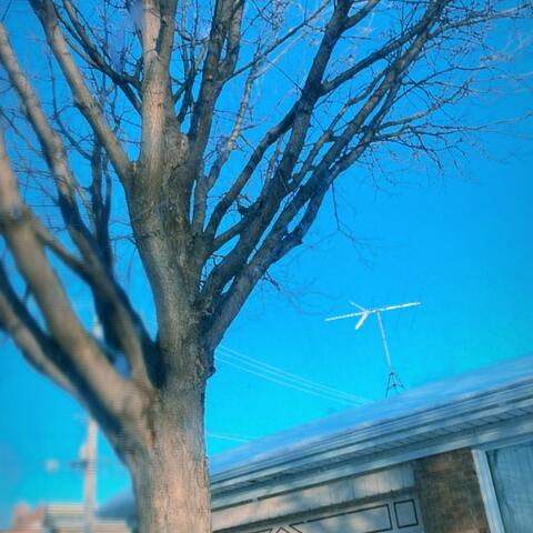 Shawn Savo Take The Time Out