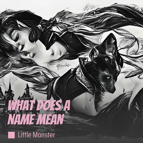 What Does a Name Mean