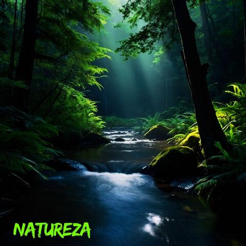 Natureza