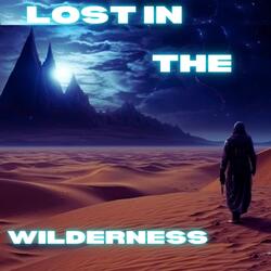 Lost in the Wilderness