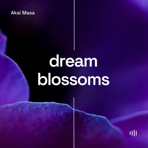 Dream Blossoms