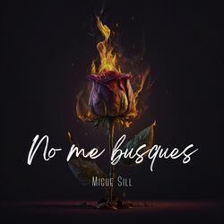 No Me Busques