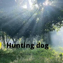 Hunting Dog