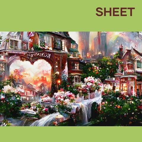 Sheet