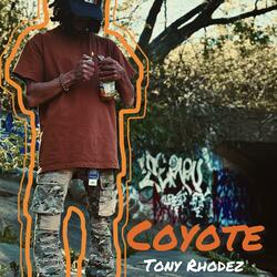 Coyote