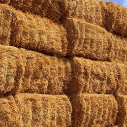 Haystack