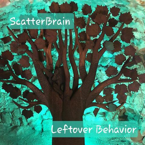 Leftover Behavior