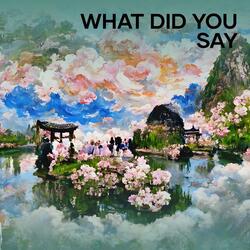 What Did You Say