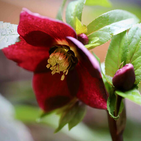 evening silence, comforting silence