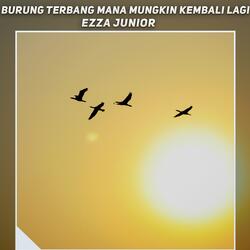 burung terbang mana mungkin kembali lagi