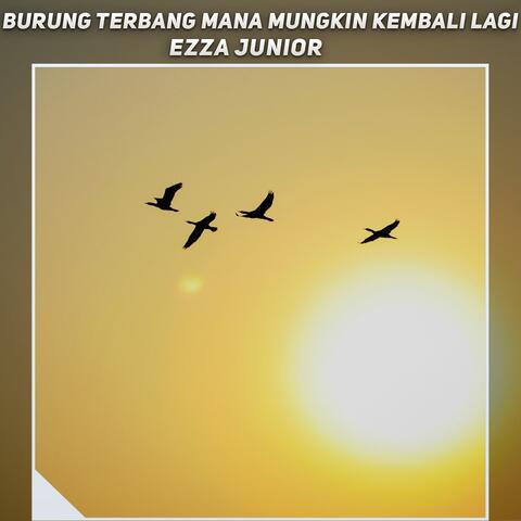 burung terbang mana mungkin kembali lagi