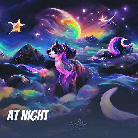 At Night