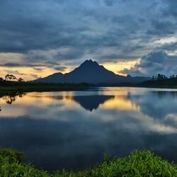 The Bringer of Love's Light