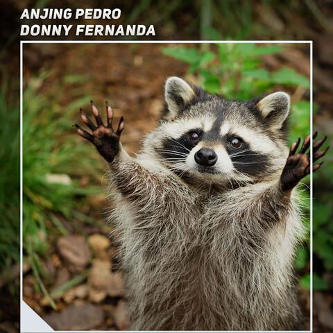 Anjing Pedro