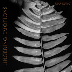 Lingering Emotions
