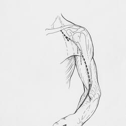 From friends to lovers